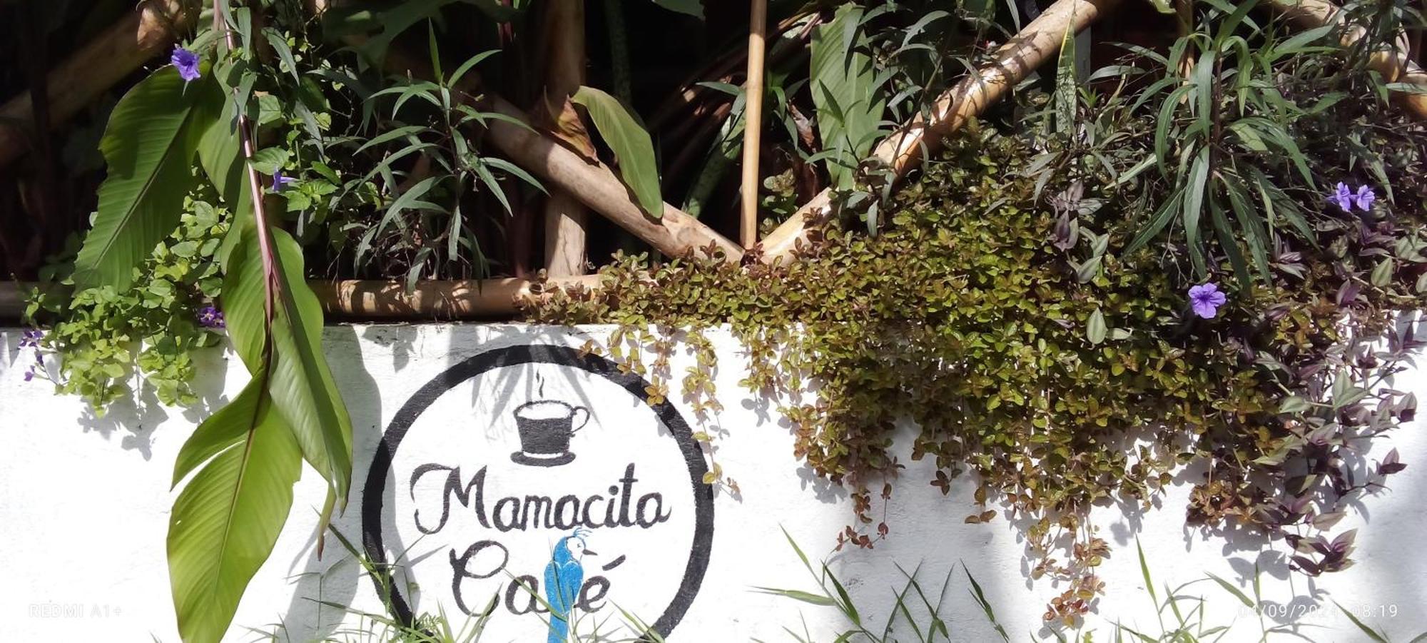 Mamacita Cafe House Hotell Moyogalpa Eksteriør bilde